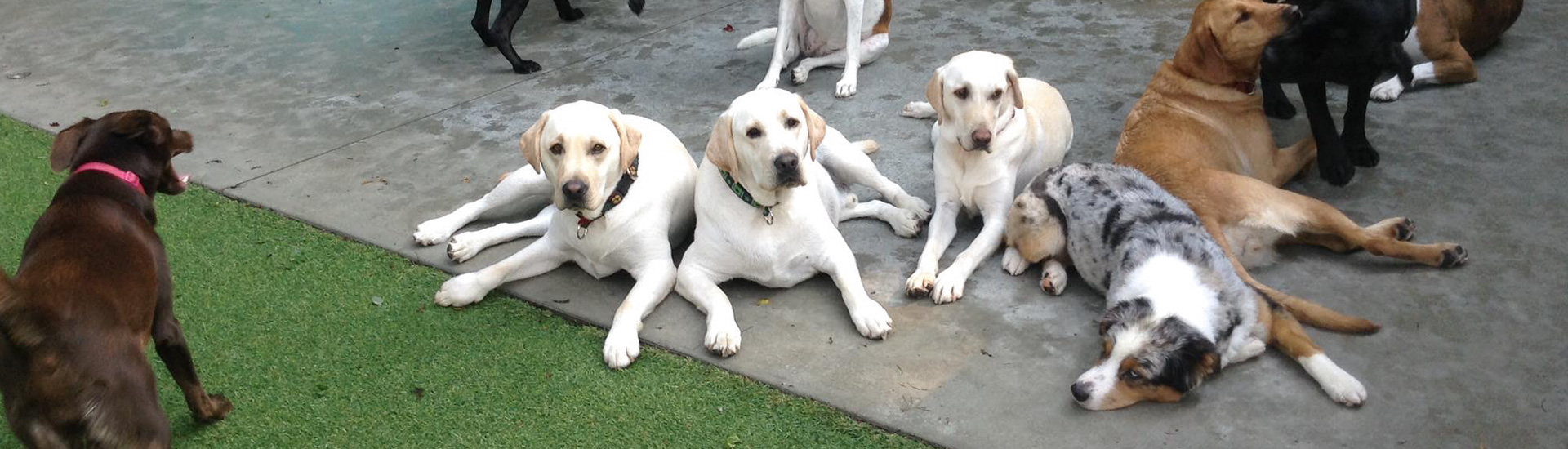 Emma Marie's Grooming