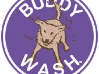 cloudstar-buddy-wash-logo